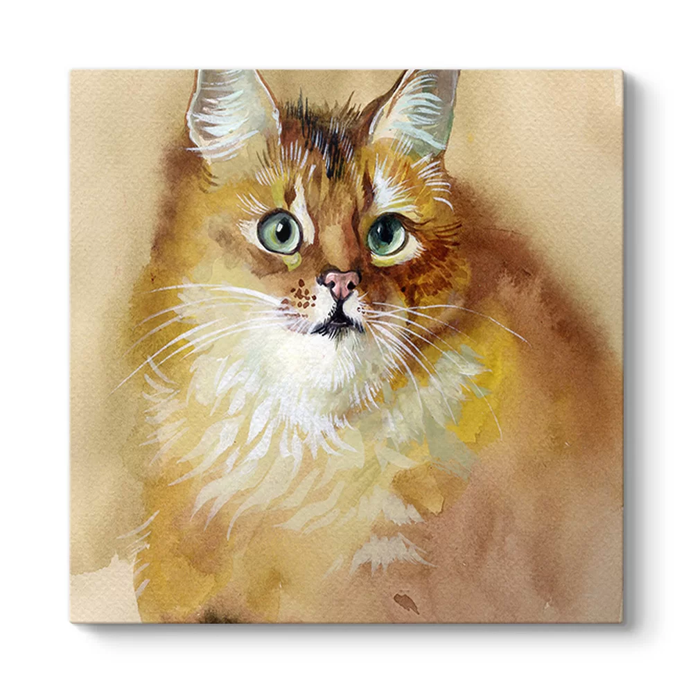 Sulu Boya Sarı Kedi Tablosu - Model 3